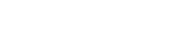 Neurashi Logo